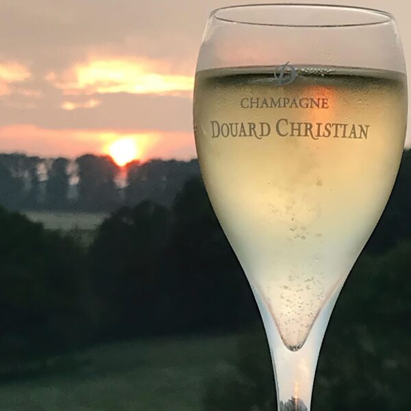 Coupe Champagne Douard